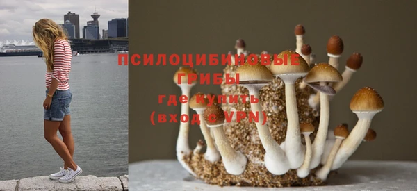 каннабис Новокубанск