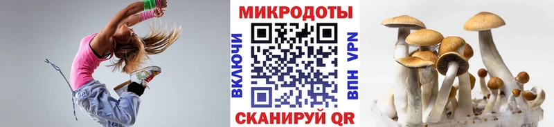 купить   Зерноград  Псилоцибиновые грибы GOLDEN TEACHER 