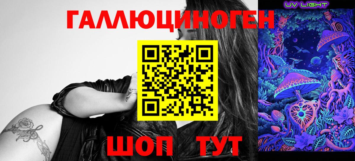 где продают наркотики  Зерноград  Псилоцибиновые грибы мицелий 