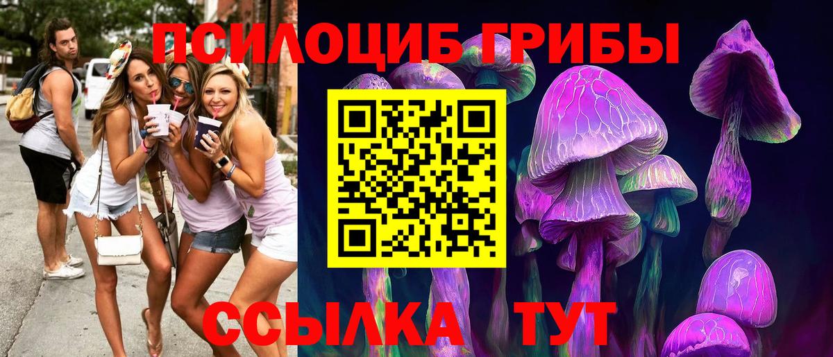 Псилоцибиновые грибы MAGIC MUSHROOMS  Галлюциногенные грибы мухоморы  Зерноград  Вход с VPN 
